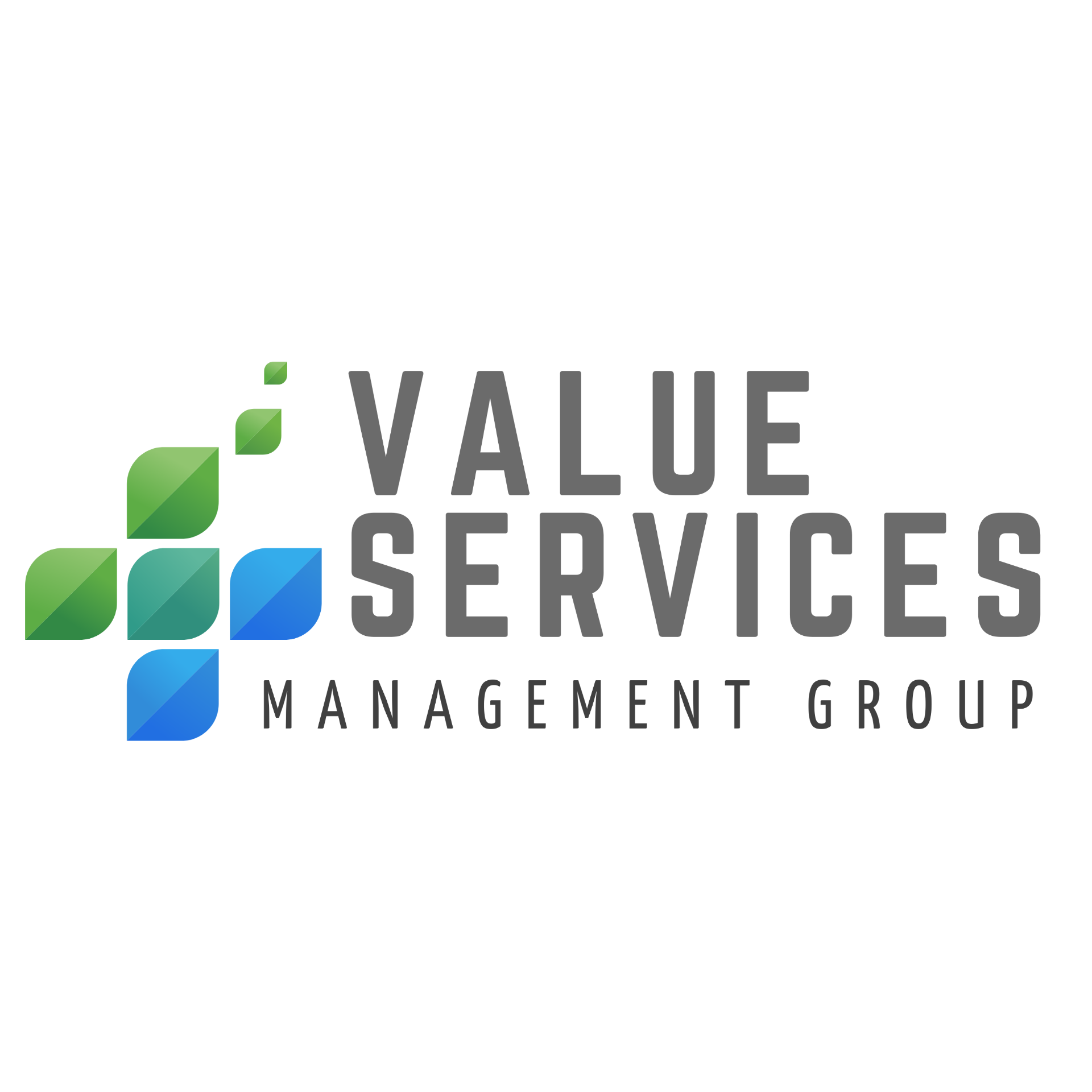 Value Services Management Group